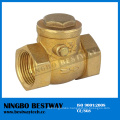 China Non Return Valve for Sale (BW-C01)